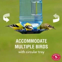 Perky-Pet® Water Cooler Bird Waterer -birds Shop 780 info2 698