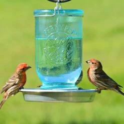 Perky-Pet® Mason Jar Wild Bird Waterer - 1-Pack