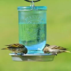 Perky-Pet® Mason Jar Wild Bird Waterer - 1-Pack 19 Perky-Pet® Mason Jar Wild Bird Waterer - 1-Pack -birds Shop 783 d 7