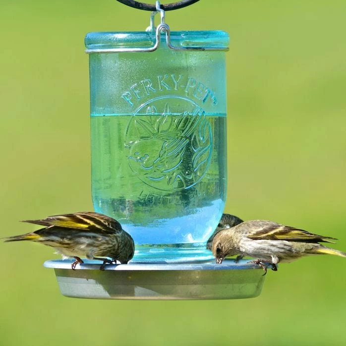 Perky-Pet® Mason Jar Wild Bird Waterer - 1-Pack 10 Perky-Pet® Mason Jar Wild Bird Waterer - 1-Pack - Image 10