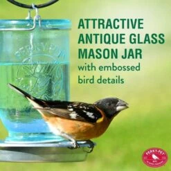 Perky-Pet® Mason Jar Wild Bird Waterer - 1-Pack 12 Perky-Pet® Mason Jar Wild Bird Waterer - 1-Pack -birds Shop 783 ig01