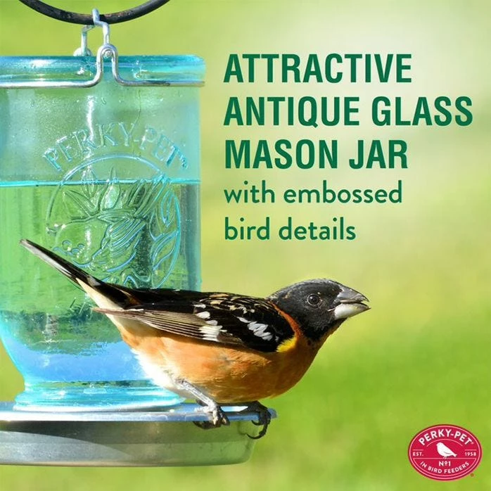 Perky-Pet® Mason Jar Wild Bird Waterer - 1-Pack 3 Perky-Pet® Mason Jar Wild Bird Waterer - 1-Pack - Image 3