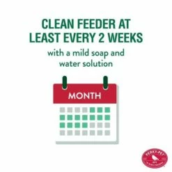 Perky-Pet® Mason Jar Wild Bird Waterer - 1-Pack 16 Perky-Pet® Mason Jar Wild Bird Waterer - 1-Pack -birds Shop 783 ig05