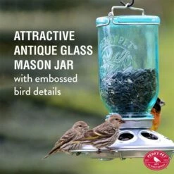 Perky-Pet® Mason Jar Wild Bird Feeder -birds Shop 784 1sr info1