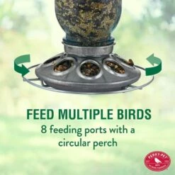Perky-Pet® Mason Jar Wild Bird Feeder -birds Shop 784 1sr info2