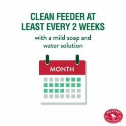 Perky-Pet® Mason Jar Wild Bird Feeder -birds Shop 784 1sr info4