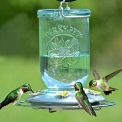 Perky-Pet® Mason Jar Hummingbird Feeder