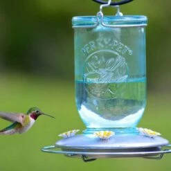 Perky-Pet® Mason Jar Hummingbird Feeder 22 Perky-Pet® Mason Jar Hummingbird Feeder -birds Shop 785 d 3