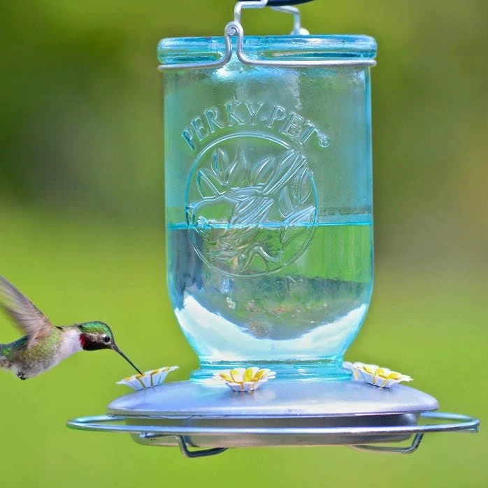 Perky-Pet® Mason Jar Hummingbird Feeder 12 Perky-Pet® Mason Jar Hummingbird Feeder - Image 12