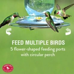 Perky-Pet® Mason Jar Hummingbird Feeder 16 Perky-Pet® Mason Jar Hummingbird Feeder -birds Shop 785 info2