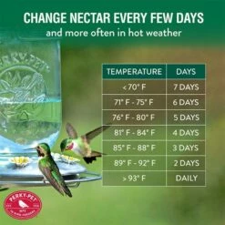 Perky-Pet® Mason Jar Hummingbird Feeder 21 Perky-Pet® Mason Jar Hummingbird Feeder -birds Shop 785 info7