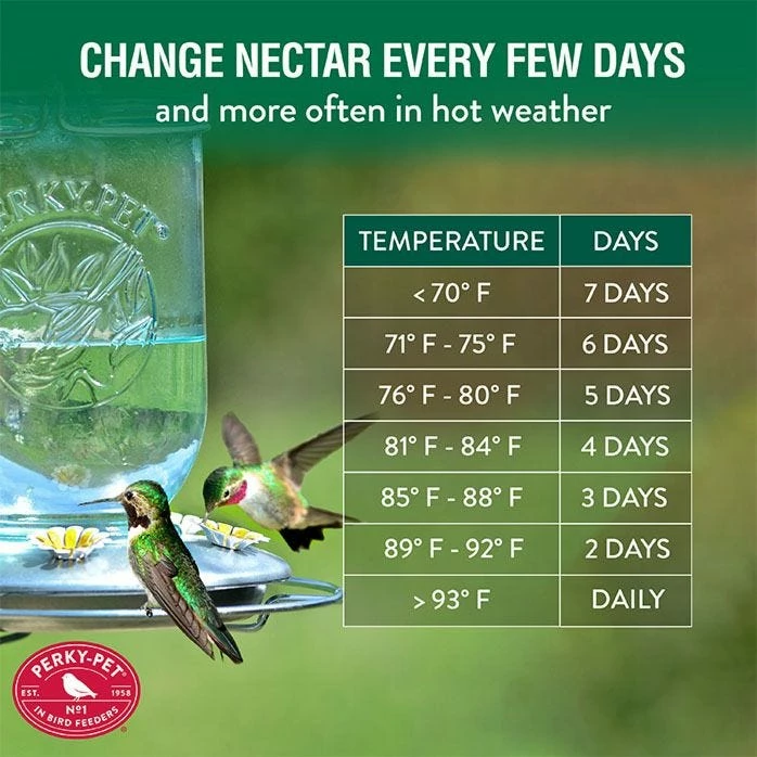 Perky-Pet® Mason Jar Hummingbird Feeder 10 Perky-Pet® Mason Jar Hummingbird Feeder - Image 10