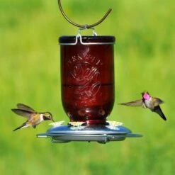 Perky-Pet® Red Mason Jar Hummingbird Feeder
