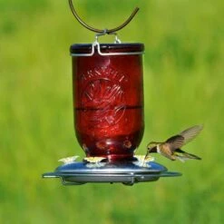Perky-Pet® Red Mason Jar Hummingbird Feeder -birds Shop 786 d 3
