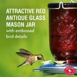 Perky-Pet® Red Mason Jar Hummingbird Feeder -birds Shop 786 ig 01