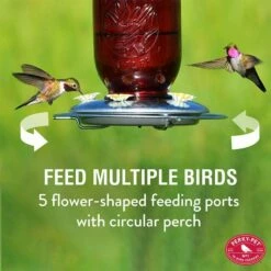 Perky-Pet® Red Mason Jar Hummingbird Feeder -birds Shop 786 ig 02