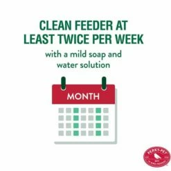 Perky-Pet® Red Mason Jar Hummingbird Feeder -birds Shop 786 ig 05