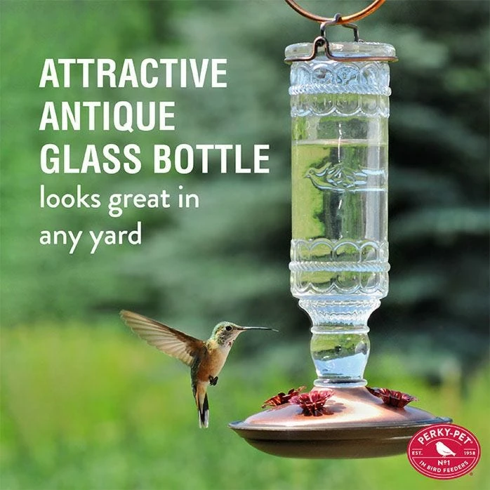 Perky-Pet® Clear Antique Glass Bottle Hummingbird Feeder - 10 Oz Nectar Capacity 4 Perky-Pet® Clear Antique Glass Bottle Hummingbird Feeder - 10 Oz Nectar Capacity - Image 4