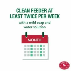 Perky-Pet® Clear Antique Glass Bottle Hummingbird Feeder - 10 Oz Nectar Capacity 15 Perky-Pet® Clear Antique Glass Bottle Hummingbird Feeder - 10 Oz Nectar Capacity -birds Shop 8107 1sr info4