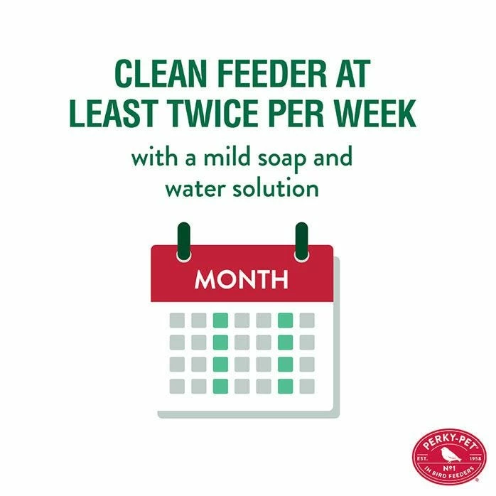 Perky-Pet® Clear Antique Glass Bottle Hummingbird Feeder - 10 Oz Nectar Capacity 6 Perky-Pet® Clear Antique Glass Bottle Hummingbird Feeder - 10 Oz Nectar Capacity - Image 6