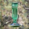 Perky-Pet® Green Antique Glass Bottle Hummingbird Feeder - 10 Oz Nectar Capacity
