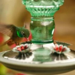 Perky-Pet® Green Antique Glass Bottle Hummingbird Feeder - 10 Oz Nectar Capacity -birds Shop 8108 2 d 3