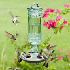 Perky-Pet® Green Antique Glass Bottle Hummingbird Feeder - 10 Oz Nectar Capacity -birds Shop 8108 2 d 4