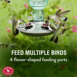 Perky-Pet® Green Antique Glass Bottle Hummingbird Feeder - 10 Oz Nectar Capacity -birds Shop 8108 info1