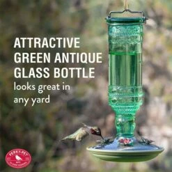 Perky-Pet® Green Antique Glass Bottle Hummingbird Feeder - 10 Oz Nectar Capacity -birds Shop 8108 info2