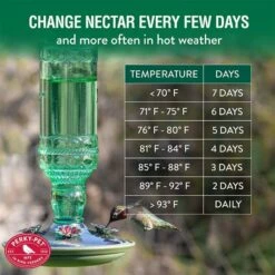 Perky-Pet® Green Antique Glass Bottle Hummingbird Feeder - 10 Oz Nectar Capacity -birds Shop 8108 info6