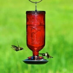 Perky-Pet® Red Antique Glass Bottle Hummingbird Feeder