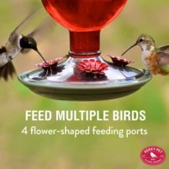 Perky-Pet® Red Antique Glass Bottle Hummingbird Feeder -birds Shop 8109 2 ig01