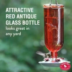 Perky-Pet® Red Antique Glass Bottle Hummingbird Feeder -birds Shop 8109 2 ig02