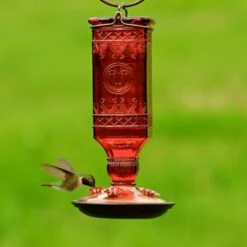 Perky-Pet® Red Square Antique Glass Bottle Hummingbird Feeder 5 Perky-Pet® Red Square Antique Glass Bottle Hummingbird Feeder -birds Shop 8116 2 d 2