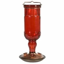 Perky-Pet® Red Antique Glass Bottle Hummingbird Feeder - 24 Oz Nectar Capacity 19 Perky-Pet® Red Antique Glass Bottle Hummingbird Feeder - 24 Oz Nectar Capacity -birds Shop 8119 2 d 1