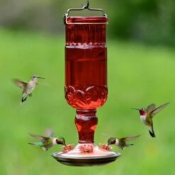 Perky-Pet® Red Antique Glass Bottle Hummingbird Feeder - 24 Oz Nectar Capacity