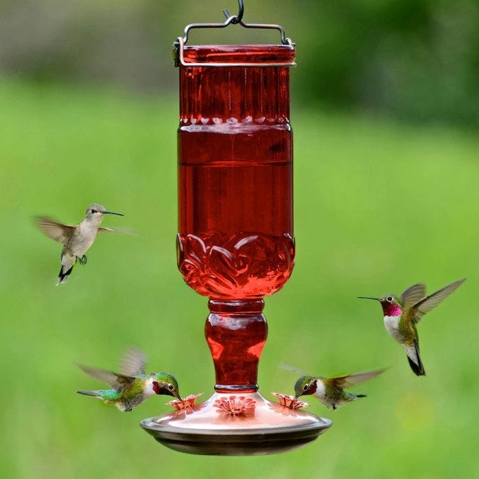 Perky-Pet® Red Antique Glass Bottle Hummingbird Feeder - 24 Oz Nectar Capacity 1 Perky-Pet® Red Antique Glass Bottle Hummingbird Feeder - 24 Oz Nectar Capacity