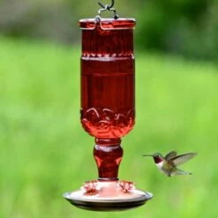 Perky-Pet® Red Antique Glass Bottle Hummingbird Feeder - 24 Oz Nectar Capacity 21 Perky-Pet® Red Antique Glass Bottle Hummingbird Feeder - 24 Oz Nectar Capacity -birds Shop 8119 2 d 3