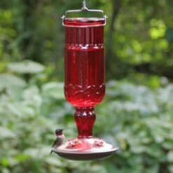 Perky-Pet® Red Antique Glass Bottle Hummingbird Feeder - 24 Oz Nectar Capacity 20 Perky-Pet® Red Antique Glass Bottle Hummingbird Feeder - 24 Oz Nectar Capacity -birds Shop 8119 2 d 4