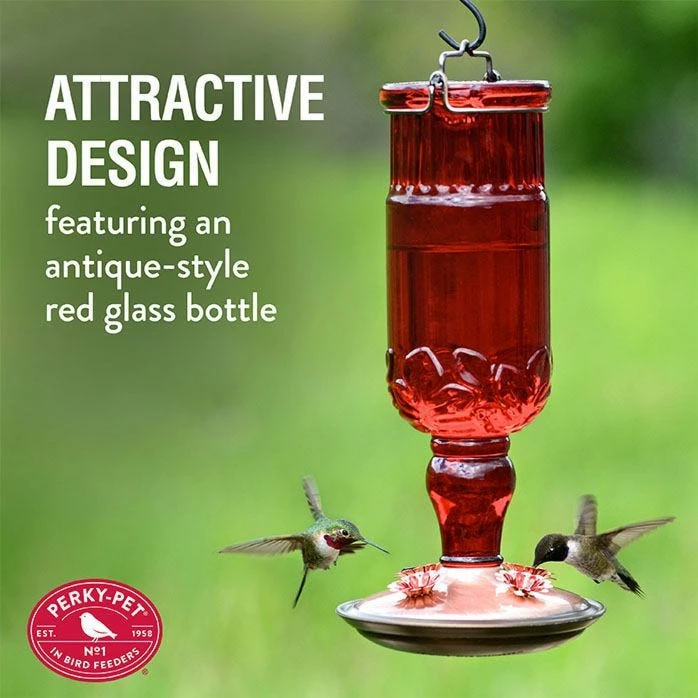 Perky-Pet® Red Antique Glass Bottle Hummingbird Feeder - 24 Oz Nectar Capacity 3 Perky-Pet® Red Antique Glass Bottle Hummingbird Feeder - 24 Oz Nectar Capacity - Image 3