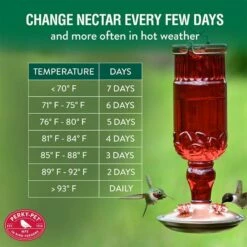 Perky-Pet® Red Antique Glass Bottle Hummingbird Feeder - 24 Oz Nectar Capacity 18 Perky-Pet® Red Antique Glass Bottle Hummingbird Feeder - 24 Oz Nectar Capacity -birds Shop 8119 2 info6
