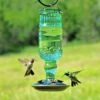 Perky-Pet® Green Antique Glass Bottle Hummingbird Feeder - 24 Oz Nectar Capacity