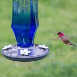 Perky-Pet® Sapphire Starburst Vintage Glass Hummingbird Feeder -birds Shop 8129 2 d 3