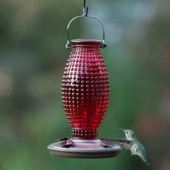 Perky-Pet® Red Hobnail Vintage Glass Hummingbird Feeder