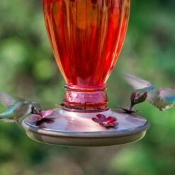 Perky-Pet® Daisy Vase Vintage Glass Hummingbird Feeder -birds Shop 8133 2 d 4