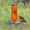 Perky-Pet® Carnival Vintage Glass Oriole Feeder