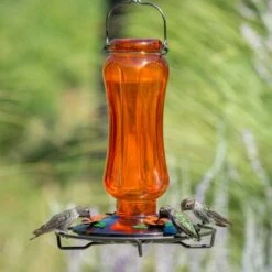 Perky-Pet® Carnival Vintage Glass Oriole Feeder 5 Perky-Pet® Carnival Vintage Glass Oriole Feeder -birds Shop 8135 2 d 3