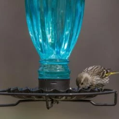 Perky-Pet® Daisy Vase Vintage Glass Bird Waterer -birds Shop 8136 2 d 3