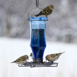 Perky-Pet® Sapphire Starburst Vintage Glass Bird Feeder