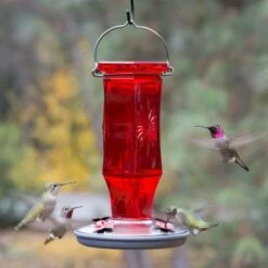Perky-Pet® Ruby Starburst Vintage Glass Hummingbird Feeder -birds Shop 8139 2 d 4